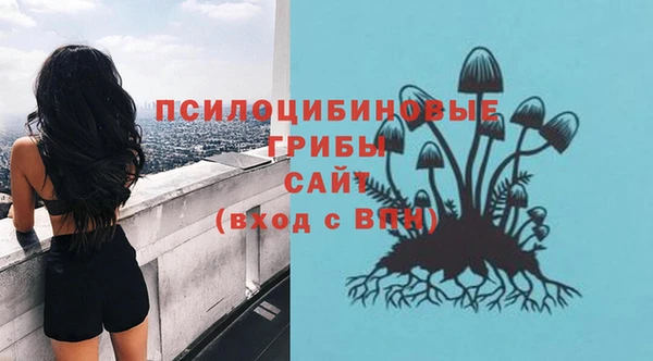 кокаин премиум Каменка