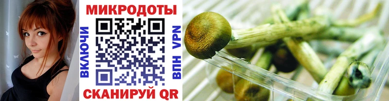 где найти Киров Галлюциногенные грибы Psilocybine cubensis